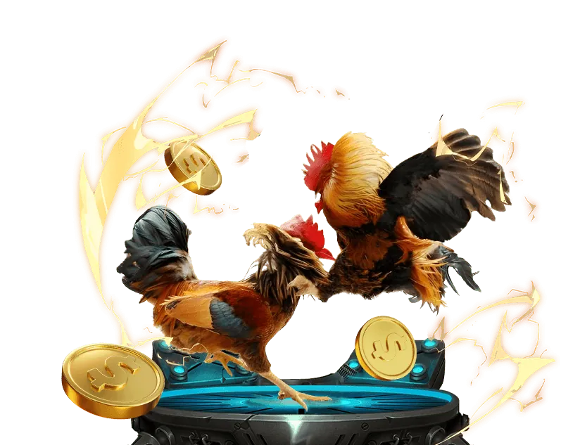 Các loại cookie được sử dụng để bảo mật trang web cá cược trực tuyến